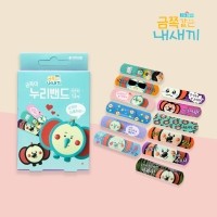 금쪽이 누리 상처밴드